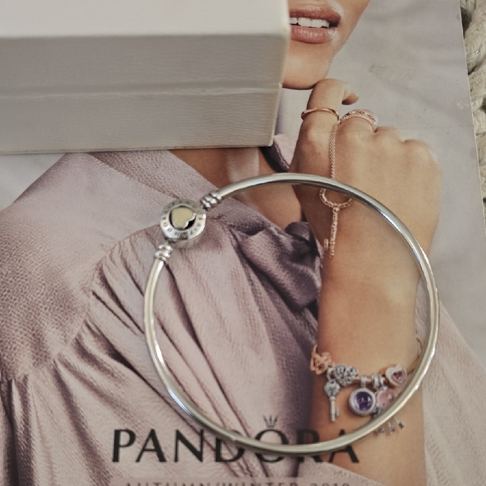 Pandora Silver Charm Bangle